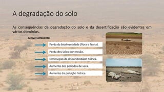 A degradação do solo
As consequências da degradação do solo e da desertificação são evidentes em
vários domínios.
7
A nível ambiental
Perda da biodiversidade (flora e fauna).
Perda dos solos por erosão.
Diminuição da disponibilidade hídrica.
Aumento dos períodos de seca.
Aumento da poluição hídrica.
 