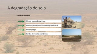 A degradação do solo
8
A nível económico
Menor produção agrícola.
Diminuição da produtividade agropecuária.
Desemprego.
Perdas de receita económica.
 