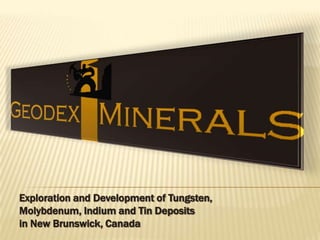 Exploration and Development of Tungsten,
Molybdenum, Indium and Tin Deposits
in New Brunswick, Canada
 