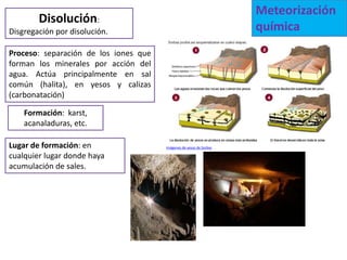 Meteorización
        Disolución:
Disgregación por disolución.                                         química
Proceso: separación de los iones que
forman los minerales por acción del
agua. Actúa principalmente en sal
común (halita), en yesos y calizas
(carbonatación)

    Formación: karst,
    acanaladuras, etc.

Lugar de formación: en                 Imágenes de yesos de Sorbas

cualquier lugar donde haya
acumulación de sales.
 