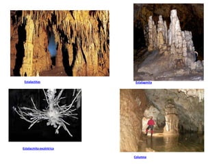 Estalactitas            Estalagmita




Estalacmita excéntrica

                         Columna
 