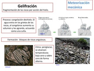 Meteorización
                 Gelifración:                                        mecánica
fragmentación de las rocas por acción del hielo.



Proceso: congelación-deshielo. El
  agua entra en las grietas de las
 rocas, al congelarse aumenta su
volumen y las agranda, actuando
          como una cuña.
                                         Gelifracción




       Formación: bloques de rocas angulosas.


                                     Clima: periglaciar,
                                     se alcanzan
                                     temperaturas
                                     bajo cero y sobre
                                     cero de forma
                                     alterna.
                                                           Canchal

  Gelifracción
 