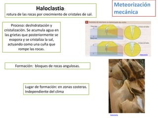 Meteorización
                    Haloclastia:
 rotura de las rocas por crecimiento de cristales de sal.        mecánica

     Proceso: deshidratación y
cristalización. Se acumula agua en
las grietas que posteriormente se
    evapora y se cristaliza la sal,
  actuando como una cuña que
          rompe las rocas.
                                                                          Haloclastia




       Formación: bloques de rocas angulosas.




             Lugar de formación: en zonas costeras.
             Independiente del clima




                                                            Haloclastia
 