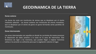 GEODINAMICA DE LA TIERRA
Dunas costeras
Las dunas de costa son montículos de arenas que se desplazan por el viento
mediante saltación. Las dunas costeras son montículos de arenas movedizas,
que se desplazan por el viento de grano en grano formando series paralelas de
montículos.
Zonas intermareales
Las zonas intermareales son aquellas en donde las corrientes de marea provocan
la deposición de lodos próximo a la costa en la zona de intermarea. Este
fenómeno da lugar a las marismas, que pueden llegar a originar marismas
salinas si la acreción es suficiente para que la vegetación colonice el lugar.
 