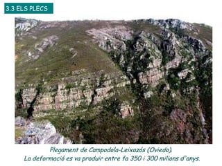 Plegament de Campodola-Leixazós (Oviedo).  La deformació es va produir entre fa 350 i 300 milions d'anys. 3.3 ELS PLECS 