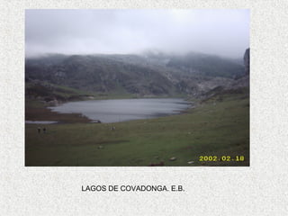 LAGOS DE COVADONGA. E.B.
 