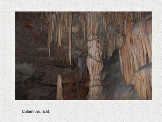 Columnas, E.B.
 