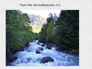 Tramo Alto. Río Ara(Bujaruelo). C.C
 