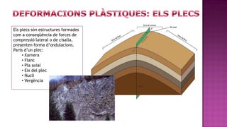 Els plecs són estructures formades
com a conseqüència de forces de
compressió lateral o de cisalla,
presenten forma d’ondulacions.
Parts d’un plec:
     • Xarnera
     • Flanc
     • Pla axial
     • Eix del plec
     • Nucli
     • Vergència
 