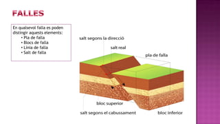 En qualsevol falla es poden
distingir aquests elements:
     • Pla de falla
     • Blocs de falla
     • Línia de falla
     • Salt de falla
 