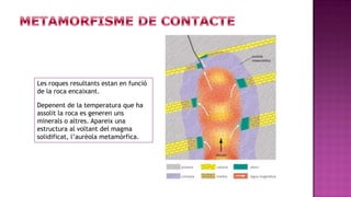 Les roques resultants estan en funció
de la roca encaixant.

Depenent de la temperatura que ha
assolit la roca es generen uns
minerals o altres. Apareix una
estructura al voltant del magma
solidificat, l’aurèola metamòrfica.
 