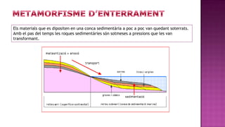Els materials que es dipositen en una conca sedimentària a poc a poc van quedant soterrats.
Amb el pas del temps les roques sedimentàries són sotmeses a pressions que les van
transformant.
 