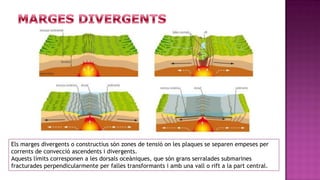 Els marges divergents o constructius són zones de tensió on les plaques se separen empeses per
corrents de convecció ascendents i divergents.
Aquests límits corresponen a les dorsals oceàniques, que són grans serralades submarines
fracturades perpendicularmente per falles transformants i amb una vall o rift a la part central.
 
