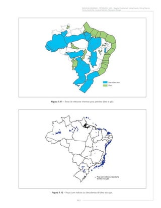 111
RIQUEZAS MINERAIS – PETRÓLEO E GÁS – Magda Chambriard, Kátia Duarte, Glória Marins,
Cintia Coutinho, Luciene Pedrosa, Marianna Vargas
Figura 7.12 – Poços com indícios ou descobertas de óleo e/ou gás.
Figura 7.11 – Áreas de relevante interesse para petróleo (óleo e gás).
 