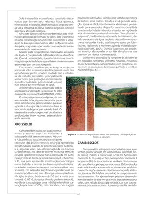 122
GEODIVERSIDADE DO BRASIL
Solo é a superfície inconsolidada, constituída de ca-
madas que diferem pela natureza física, química,
mineralógica e biológica, desenvolvida ao longo do tem-
po sob a influência do clima, material originário, relevo e
da própria atividade biológica.
Uma das possibilidades de apresentação das infor-
mações pedológicas é o mapa de solos. Este se constitui
em uma estratificação de ambientes que permite a sepa-
ração de áreas para diversos fins, além de fornecer subsí-
dios para programas especiais de conservação de solos e
preservação do meio ambiente.
Grande parte dos problemas relacionados aos solos
está ligada à complexidade e dificuldade de sua identifica-
ção. Quando esta é obtida, é possível determinar suas li-
mitações e potencialidades que refletem diretamente em
seu manejo para um uso adequado.
É necessário considerar que, ao longo do tempo, as
pesquisas sobre os solos foram desenvolvidas com fins
agronômicos, porém, isso tem mudado com a influên-
cia de estudos correlatos, principalmente
geotécnicos, para produção de informações
de melhor qualidade, possibilitando um uso
mais amplo das informações de solos.
A nomenclatura aqui apresentada está de
acordo com o sistema de classificação de solos
atualmente em uso no Brasil (EMBRAPA, 2006).
O enfoque apresentado objetiva, de ma-
neira simples, tecer alguns comentários gerais
sobre as limitações e potencialidades para uso
agrícola e não-agrícola, tendo como base as
características dos principais solos do Brasil. Os
interessados em abordagens mais detalhadas e
aprofundadas devem recorrer à extensa biblio-
grafia existente.
ARGISSOLOS
Compreendem solos nos quais normal-
mente o teor de argila no horizonte B
(subsuperficial) é bem maior que no horizon-
te A (superficial), caracterizando o horizonte
B textural (Bt). Esse incremento de argila é percebido
sem dificuldade quando se procede ao exame da textu-
ra e, algumas vezes, pela diferenciação da cor e outras
características. No caso de ocorrer mudança textural
abrupta (gradiente textural muito acentuado em curto
espaço vertical), torna-se ainda mais visível. O horizon-
te Bt, que pode apresentar constituição e morfologia
muito distintas e ocorrer em diversas profundidades,
caracteriza um comportamento bastante variável des-
ses solos. Em extensão, constitui a segunda classe de
maior importância no país. Abrange uma ampla diver-
sificação de solos, desde rasos (<50 cm) a muito pro-
fundos (>2,00 m), abruptos (elevado gradiente textural),
eutróficos (saturação por bases >50%) e distróficos (sa-
turação por bases <50%), com cascalhos, com fragipã
(horizonte adensado), com caráter solódico (presença
de sódio), entre outros. Devido a essa gama de varia-
ção, torna-se difícil proceder a uma abordagem genera-
lizada para esses solos. Argissolos com horizonte Bt de
baixa condutividade hidráulica situados em regiões de
alta pluviosidade podem desenvolver “lençol freático
suspenso”, facilitando o processo de deslizamento, de-
vido ao excesso de água no plano de cisalhamento en-
tre os horizontes A e Bt, que funciona como um lubri-
ficante, facilitando a movimentação do material super-
ficial (OLIVEIRA, 2005). Os mais suscetíveis aos proces-
sos erosivos são aqueles de caráter abrupto e os que
ocorrem em relevos movimentados.
Conforme a coloração do horizonte Bt, dividem-se
em Argissolos Vermelhos, Vermelho-Amarelos, Amarelos,
Bruno-Acinzentados e Acinzentados; com freqüência, en-
contram-se associados a Latossolos, por todo o território
nacional (Figura 8.1).
CAMBISSOLOS
Compreendem solos pouco desenvolvidos e que apre-
sentam grande variação em sua espessura, ocorrendo des-
de rasos (<50 cm) a profundos (<2,00 m). Apresentam
horizonte A, de qualquer tipo, sobreposto a horizonte B
incipiente (Bi), de características variáveis. Muitas vezes
são cascalhentos, pedregosos e rochosos. Os Cambissolos
estão relacionados a áreas mais movimentadas, preferen-
cialmente regiões serranas. Devido à variação de atribu-
tos, torna-se difícil definir um padrão de comportamento
para esses solos. Por apresentarem pequeno desenvolvi-
mento e teores de silte em geral mais altos que em outros
solos, com relação silte/argila elevada, são mais suscetí-
veis aos processos erosivos. A presença de silte também
Figura 8.1 ––––– Perfil de Argissolo em relevo forte ondulado, com vegetação de
floresta e pastagem.
 