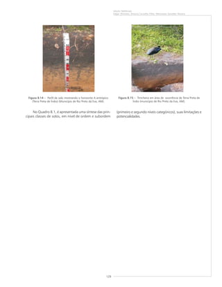 129
SOLOS TROPICAIS
Edgar Shinzato, Amaury Carvalho Filho, Wenceslau Geraldes Teixeira
No Quadro 8.1, é apresentada uma síntese das prin-
cipais classes de solos, em nível de ordem e subordem
Figura 8.14 – Perfil de solo mostrando o horizonte A antrópico
(Terra Preta de Índio) (Município de Rio Preto da Eva, AM).
Figura 8.15 – Trincheira em área de ocorrência de Terra Preta de
Índio (município de Rio Preto da Eva, AM).
(primeiro e segundo níveis categóricos), suas limitações e
potencialidades.
 