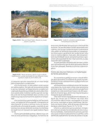 211
GEODIVERSIDADE: ADEQUABILIDADES E LIMITAÇÕES AO USO E OCUPAÇÃO
Antonio Theodorovicz e Ângela Maria de Godoy Theodorovicz
Figura 14.14 – Área com lençol freático aflorante ou situado
próximo à superfície.
Figura 14.15 – Plantio de banana, cultura na qual se aplicam,
freqüentemente, grandes quantidades dos mais diferentes e fortes
agrotóxicos (região do Vale do Ribeira, SP).
os poluentes agrícolas necessitam de um maior tempo
para se dispersarem e se depurarem.
• Em muitos locais, os solos podem conter excesso
de matéria orgânica. Tais solos são excessivamente ácidos
e, por isso, necessitam ser freqüentemente corrigidos com
a aplicação de grandes quantidades de calcário dolomítico.
Esse aspecto pode inviabilizar a prática agrícola nas regi-
ões onde não há disponibilidade desse corretivo a uma
distância que seja economicamente viável de ser transpor-
tado.
• As características geomorfológicas são favoráveis
a que, nas regiões de clima temperado, a temperatura se
eleve bastante no verão e diminua muito no inverno,
possibilitando a formação de geadas, a exemplo do que
acontece nas várzeas existentes nas áreas montanhosas
da região Sul e em boa parte da região Sudeste (Figura
14.16).
• Como particularidades positivas, salienta-se que, em
meio às áreas pantanosas e alagadiças, há manchas de
Figura 14.16 – Geada em uma planície aluvial da região
metropolitana de Curitiba (PR).
terras mais sobrelevadas (terraços) que o nível atual das
enchentes. Tais parcelas podem ser bem aproveitadas para
o plantio, uma vez que o potencial erosivo é praticamente
nulo, podem ser facilmente mecanizadas com equipamen-
tos motorizados e geralmente são recobertas por solos
ricos em matéria orgânica. Esses solos, além de apresen-
tarem boa fertilidade natural, são bastante porosos e apre-
sentam alta capacidade de reter e fixar nutrientes, ou seja,
respondem bem à adubação.
As particularidades retrodestacadas permitem concluir
que o aproveitamento agrícola desse geossistema deve ser
muito bem planejado, devendo-se priorizar o plantio or-
gânico.
Frente aos recursos hídricos e à implantação
de fontes poluidoras
As características geológicas tornam a área de defini-
ção desse geossistema um ambiente de grande importân-
cia hídrica e muito vulnerável frente a qualquer fonte com
potencial poluidor.
• As características morfolitoestruturais são favoráveis
a que águas das chuvas sejam retidas nesse geossistema
por longo tempo. Como a maior parte de sua superfície é
recoberta por solos bastante permeáveis e de alta capaci-
dade de armazenar água, são terrenos importantes para a
recarga das águas subterrâneas.
• Por serem terrenos topograficamente rebaixados, as
águas das chuvas que se infiltram nas áreas altas
circunvizinhas neles se minam, recarregando os rios que,
por sua vez, recarregam as águas subterrâneas. São, por-
tanto, ao mesmo tempo, áreas de recarga e de descarga
das águas subterrâneas (Figuras 14.17 e 14.18).
• Dentre os sedimentos que os sustentam, há espes-
sas e extensas camadas horizontalizadas de areia e casca-
lho inconsolidados, materiais bastante porosos e permeá-
veis e quase sempre situados próximos à superfície, como
identificado especialmente nas áreas das várzeas e nas pla-
 