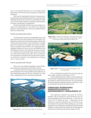 213
GEODIVERSIDADE: ADEQUABILIDADES E LIMITAÇÕES AO USO E OCUPAÇÃO
Antonio Theodorovicz e Ângela Maria de Godoy Theodorovicz
Figura 14.21 – Sistema hídrico das planícies amazônicas.
Figura 14.22 – Paisagem formada pelo contraste das áreas planas
do geossistema 1 e o relevo montanhoso sustentado por rochas
muito antigas e deformadas (Vale do Ribeira, PR).
Figura 14.23 – Pantanal mato-grossense (região da serra
do Amolar, MS).
que, se um poluente alcançar um curso de água desse
geossistema, demorará muito tempo para se dispersar e
se depurar.
• No caso de implantação de dutos e tanques para o
armazenamento de substâncias poluentes, é grande a pos-
sibilidade de eles ficarem imersos ou enterrados em mate-
riais ricos em matéria orgânica, que libera ácidos bastante
corrosivos, danificando-os rapidamente.
Tais particularidades indicam que, para qualquer ini-
ciativa de implantação de uma fonte com potencial
poluidor nesse geossistema, criteriosos cuidados técnicos
devem ser observados.
Frente ao potencial turístico
A configuração morfoestrutural possibilitou que a esse
geossistema se associassem alguns dos mais belos e im-
portantes ecossistemas do Brasil, destacando-se dentre eles
o Pantanal mato-grossense, a Ilha do Marajó, as amplas
planícies amazônicas. Tais regiões apresentam um belo,
denso e complexo sistema hídrico com vegetação típica,
adaptada às águas e às secas; por isso, são habitat de uma
infinidade de animais, aves e plantas terrestres e aquáti-
cas. Também fazem parte dele todas as planícies costei-
ras, onde existem belas praias, além de se constituírem
em importantes ecossistemas de transição entre ambien-
tes marinhos e terrestres e as várzeas dos rios (Figuras
14.21, 14.22 e 14.23).
Frente ao potencial mineral
Trata-se de uma ambiência geológica e geomorfoló-
gica favorável à explotação de vários bens minerais.
• A dinâmica dos cursos d’água é favorável à forma-
ção de depósitos de minerais pesados do tipo pláceres, ou
seja, depositados pela ação dos rios. Destacam-se, nesse
caso, os depósitos de ouro, cassiterita e diamantes.
• É um ambiente favorável à lavra de vários tipos de
areia, argila, cascalho e turfa (Figura 14.24).
• Associados às planícies costeiras mais afastadas da
linha de costa, há depósitos de areia industrial, assim como,
associadas às areias da linha de praia, há concentrações
de minerais pesados radioativos (areias monazíticas), como
as identificadas no litoral do Espírito Santo.
COBERTURAS SEDIMENTARES
FANEROZÓICAS POUCO A
MODERADAMENTE CONSOLIDADAS (2)
Tais coberturas recobrem boa parte do território
brasileiro. Elas se originaram a partir de detritos que, em
tempos geológicos não muito distantes – entre mais ou
menos 55 e 2 milhões de anos –, depositaram-se em
pequenas e grandes depressões que se formaram por
conseqüência de grandes falhas geológicas, que tanto
soergueramcomorebaixaramporçõesdacrostacontinental
brasileira, em decorrência do mecanismo de separação do
continente sul-americano do africano (Figura 14.25).
 