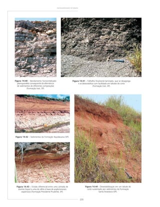 220
GEODIVERSIDADE DO BRASIL
Figura 14.40 – Bandamento horizontalizado
planoparalelo conseqüente da alternância
de sedimentos de diferentes composições
(Formação Irati, SP).
Figura 14.41 – Folhelho finamente laminado, que se desagrega
e se desestabiliza com facilidade em taludes de corte
(Formação Irati, SP).
Figura 14.42 – Sedimentos da Formação Aquidauana (SP).
Figura 14.43 – Erosão diferencial entre uma camada de
arenito (topo) e uma de siltito à base de argilominerais
expansivos (Formação Presidente Prudente, SP).
Figura 14.44 – Desestabilização em um talude de
corte sustentado por sedimentos da Formação
Santo Anastácio (SP).
 
