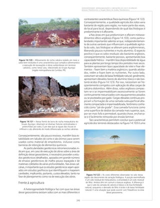 243
GEODIVERSIDADE: ADEQUABILIDADES E LIMITAÇÕES AO USO E OCUPAÇÃO
Antonio Theodorovicz e Ângela Maria de Godoy Theodorovicz
Figura 14.120 ––––– Afloramento de rocha calcária isolado em meio a
solos bem evoluídos é uma característica que complica sobremaneira
a execução de escavações e obras subterrâneas em terrenos
calcários, como nesse caso, relacionado ao Grupo Açungui
(região metropolitana de Curitiba, PR).
Figura 14.121 ––––– Nessa frente de lavra de rocha metacalcária do
Grupo Açungui, observam-se diversas fraturas verticalizadas e
preenchidas por solos. É por elas que as águas das chuvas se
infiltram e vão alterando de modo diferenciado as rochas calcárias.
Conseqüentemente, são pouco erosivos, mantêm boa es-
tabilidade em taludes de corte e são ótimos para serem
usados como material de empréstimo, inclusive como
barreiras de retenção de elementos químicos.
As particularidades geotécnicas retromencionadas in-
dicam que, em caso de execução de obras sobre a área de
definição desse geossistema, é necessário proceder a estu-
dos geotécnicos detalhados, apoiados em grande número
de ensaios geotécnicos de malha pouco espaçada e de
materiais coletados de várias profundidades. Nas áreas cal-
cárias, é importante que os estudos geotécnicos sejam apoi-
ados em estudos geofísicos que identifiquem e mapeiem
cavidades, implicando, portanto, custos elevados, tanto na
fase de planejamento como na de execução das obras.
Frente à agricultura
A heterogeneidade litológica faz com que nas áreas
desse geossistema existam solos com as mais diferentes e
contrastantescaracterísticasfísico-químicas(Figura14.122).
Conseqüentemente, a qualidade agrícola dos solos varia
bastante de região para região; na maior parte das vezes,
de local para local, dependendo de qual das litologias é
predominante e é aflorante.
• Nas áreas em que predominam e afloram metasse-
dimentos síltico-argilosos (Figura 14.103), como particu-
laridades importantes salienta-se que, independentemen-
te de outras variáveis que influenciam a qualidade agríco-
la do solo, tais litologias se alteram para argilominerais,
liberando poucos nutrientes e muito alumínio. O aspecto
positivo é que os solos residuais são bastante argilosos,
conseqüentemente, bastante porosos, apresentando boa
capacidade hídrica – mantêm boa disponibilidade de água
para as plantas por longo tempo dos períodos mais secos.
Também apresentam boa capacidade de reter e fixar ele-
mentos – fixam bem a matéria orgânica e, quando aduba-
dos, retêm e fixam bem os nutrientes. Por outro lado,
costumamsersolosdebaixafertilidadenatural;geralmente,
apresentam elevados teores de alumínio tóxico e são bas-
tante ácidos (Figura 14.123). Por isso, necessitam ser fre-
qüentemente corrigidos com aplicação de altas cargas de
calcário dolomítico. Além disso, solos argilosos compac-
tam-se e se impermeabilizam excessivamente se forem
continuamente mecanizados com equipamentos pesados
ou se pisoteados por gado. Cargas elevadas contínuas pro-
piciam a formação de uma camada subsuperficial alta-
mente compactada e impermeabilizada, fenômeno conhe-
cido como “pé-de-grade”. Essa camada funciona como
uma superfície de deslize da camada mais superior, que,
por ser mais fofa e permeável, quando chove, encharca-
se e é facilmente removida por erosão laminar.
Tais características permitem concluir que o potencial
agrícola dos terrenos destacados na figura 14.103 é uma
Figura 14.122 ––––– As cores diferentes observadas no solo dessa
região são decorrentes da variação litológica. A porção avermelhada
é um solo residual de metacalcário; a amarelada é um solo residual
de filito. Ambos têm em comum a textura argilosa. A diferença é
que o solo da camada de calcário é básico e de boa fertilidade
natural, enquanto o derivado de filito é ácido e de baixa fertilidade
natural. É uma situação que pode ocorrer com freqüência na área
desse geossistema.
 