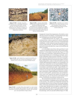 255
GEODIVERSIDADE: ADEQUABILIDADES E LIMITAÇÕES AO USO E OCUPAÇÃO
Antonio Theodorovicz e Ângela Maria de Godoy Theodorovicz
Figura 14.163 – Exemplar de granito
pré-tectônico com a mineralogia fortemente
e diferentemente deformada e estirada
segundo uma direção preferencial. Isso é
indicativo de que o granito se cristalizou ou
se recristalizou sob condições de elevadas
temperaturas e pressões.
Figura 14.164 – Voçoroca desenvolvida
paralelamente à foliação mineral de granito
parcialmente alterado da região
metropolitana de Curitiba (PR). Se as águas
das chuvas escorrem paralelamente à foliação
mineral de um granito deformado, podem se
formar erosões tão grandes quanto as que se
formam nas áreas arenosas.
Figura 14.165 – Exemplar de um granito
pós-tectônico com textura isótropa, ou seja,
sem orientação mineral e com boa
homogeneidade textural lateral e vertical
(Granito Galvão, ES).
ticipação de minerais ferromagnesianos. No entanto, como
estes são minerais secundários, no geral predominam solos
com fertilidade que varia de baixa a moderada.
• Independentemente da origem e das variações
composicionais, todos os granitos se alteram liberando
muito alumínio para os solos. Por ser um mineral de baixa
mobilidade, os solos residuais de granito geralmente apre-
sentam acidez elevada. Os solos bem evoluídos podem
apresentar excesso de alumínio, o que os torna difíceis de
serem corrigidos.
• A erosividade natural dos solos graníticos é uma
variável que depende bastante do grau de evolução pedo-
genética. A erosividade é bastante alta (Figura 14.164)
nos solos pouco evoluídos, especialmente se forem resi-
duais de granitóides com a mineralogia orientada, varian-
do de moderada a baixa nos bem evoluídos. Já a erosivi-
dade induzida, depende da forma como são manejados,
pois, independentemente do granito de origem e da evo-
lução pedogenética, todos os solos derivados de granitos
contêm alta proporção de argila em sua composição. Em
razão disso, compactam-se e se impermeabilizam bastan-
te se forem continuamente mecanizados com equipamen-
tos pesados ou pisoteados por gado. Cargas elevadas con-
tínuas sobre solos com alto teor de argila propiciam que
se forme uma camada subsuperficial altamente compac-
tada, endurecida e impermeabilizada, fenômeno conheci-
do como “pé-de-grade”. Quando chove, essa camada fun-
ciona como uma superfície de deslize da camada mais
superficial, que, por ser mais porosa e permeável, enchar-
ca-se e é facilmente removida por erosão laminar.
Tais características permitem concluir que, no que se
refere à erosividade e à qualidade química dos solos residu-
ais de granitos, são variáveis que dependem bastante da
composição dessas rochas e do grau de evolução pedoge-
nética. Como são características não-restritivas, desde que
os solos sejam devidamente corrigidos e manuseados e o
relevo seja adequado, são terrenos que podem ser bem
aproveitados para agricultura, especialmente para o cultivo
de ciclo longo, como no caso das frutíferas (Figura 14.168).
Figura 14.166 – Solo residual de um granito pós-tectônico do
Vale do Ribeira (PR), sem minerais ferromagnesianos, o que o
classifica como um solo de muito baixa fertilidade natural.
Figura 14.167 – A porção inferior desse talude é um solo residual
do Granito Três Córregos (Vale do Ribeira, PR), que contém razoável
proporção de minerais ferromagnesianos, portanto, bem mais fértil
que o solo apresentado na figura anterior.
 