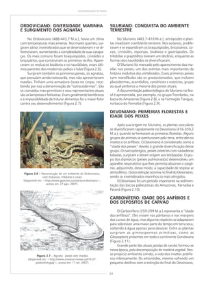 24
GEODIVERSIDADE DO BRASIL
ORDOVICIANO: DIVERSIDADE MARINHA
E SURGIMENTO DOS AGNATAS
No Ordoviciano (488-443,7 M.a.), havia um clima
com temperaturas mais amenas. Nos mares quentes, sur-
giram vários invertebrados que se desenvolveram e se di-
ferenciaram, aumentando a complexidade de suas carapa-
ças. Os mais comuns foram braquiópodes, crinóides e
briozoários, que construíram os primeiros recifes. Apare-
ceram os moluscos biválvios e os nautilóides, esses últi-
mos parentes dos modernos polvos e lulas (Figura 2.6).
Surgiram também os primeiros peixes, os agnatas,
que possuíam ainda notocorda, mas não apresentavam
maxilas. Tinham uma armadura óssea no corpo, rece-
bendo por isso a denominação de “ostracodermas”. São
os craniados mais primitivos e seus representantes atuais
são as lampreias e feiticeiras. Eram geralmente bentônicos
e a impossibilidade de triturar alimentos foi o maior fator
contra seu desenvolvimento (Figura 2.7).
Figura 2.7 – Agnata: peixes sem maxilas
(disponível em :<http://www.universe-review.ca/I10-27-
jawlessfishçjpg/>; acesso em: 17 set. 2007).
Figura 2.6 ––––– Reconstrução de um ambiente do Ordoviciano,
com moluscos, trilobitas e corais
(disponível em: <http://www.geocities.com/arturordoviciano>;
acesso em: 27 ago. 2007).
SILURIANO: CONQUISTA DO AMBIENTE
TERRESTRE
No Siluriano (443,7-416 M.a.), artrópodes e plan-
tas invadiram o ambiente terrestre. Nos oceanos, prolife-
raram e se expandiram os braquiópodes, briozoários, co-
rais, crinóides, esponjas, biválvios e gastrópodes. Os
trilobitas e graptólitos tiveram um declínio, enquanto as
formas dos nautilóides se diversificaram.
O Siluriano foi marcado pelo aparecimento das ma-
xilas nos peixes, um dos eventos mais importantes da
história evolutiva dos vertebrados. Esses primeiros peixes
com mandíbulas são os gnatostomados, que incluem
placodermas, acantódios, condríctes e osteíctes, grupo
ao qual pertence a maioria dos peixes atuais.
A documentação paleontológica do Siluriano no Bra-
sil é apresentada, por exemplo, no grupo Trombetas, na
bacia do Amazonas (Figura 2.8), e na Formação Tianguá,
na bacia do Parnaíba (Figura 2.9).
DEVONIANO: PRIMEIRAS FLORESTAS E
IDADE DOS PEIXES
Após sua origem no Siluriano, as plantas vasculares
se diversificaram rapidamente no Devoniano (416-359,2
M.a.), quando se formaram as primeiras florestas. Alguns
grupos de animais se aventuraram pela terra, entre eles os
insetos e os anfíbios. O Devoniano é considerado como a
“idade dos peixes” devido à grande diversificação desse
grupo. Os sarcopterígios, peixes osteíctes com nadadeiras
lobadas, surgiram e deram origem aos tetrápodas. O gru-
po dos dipnóicos (peixes pulmonados) desenvolveu um
aparelho respiratório que lhes permitia absorver o oxigê-
nio, adquirindo, desse modo, a capacidade de respirar ar
atmosférico. Outra extinção ocorreu no final do Devoniano,
sendo os invertebrados marinhos os mais atingidos.
O Devoniano foi um período importante na sedimen-
tação das bacias paleozóicas do Amazonas, Parnaíba e
Paraná (Figura 2.10).
CARBONÍFERO: IDADE DOS ANFÍBIOS E
DOS DEPÓSITOS DE CARVÃO
O Carbonífero (359-299 M.a.) representa a “idade
dos anfíbios”. Eles viviam nos pântanos e nas margens
dos cursos de água, mas algumas espécies se adaptaram
para sobreviver uma maior parte do tempo em terra seca,
voltando à água apenas para desovar. Entre as plantas
surgiram as gimnospermas primitivas, como as
Glossopteris presentes em todo o continente Gondwana
(Figura 2.11).
Grande parte das atuais jazidas de carvão formou-se
nessa época, pela decomposição de matéria vegetal. Nes-
se propício ambiente úmido, a vida dos insetos prolife-
rou intensamente. Os amonóides, mesmo sofrendo um
pequeno declínio com a extinção do final do Devoniano,
 