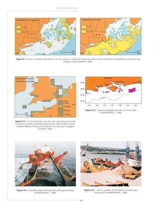 68
GEODIVERSIDADE DO BRASIL
Figura 5.1 – Areia e cascalho representam, por seu volume, o potencial mineral econômico mais importante da plataforma continental dos
Estados Unidos (COUPER, 1983).
Figura 5.2 – O mar do Norte, uma das mais ricas áreas do mundo
em areia e cascalho, foi dividido pelos países costeiros (Reino Unido,
Holanda, Bélgica e França) em áreas de concessão para dragagem
(COUPER, 1983).
Figura 5.3 – Áreas de dragagem de areia no canal inglês
(SUMMERHAYES, 1998).
Figura 5.4 – Cascalho sendo minerado com utilização de draga
(SUMMERHAYES, 1998).
Figura 5.5 – Areia e cascalho de mar aberto estocado para
distribuição (SUMMERHAYES, 1998).
 