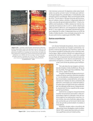 81
RECURSOS MINERAIS DO MAR
Luiz Roberto Martins e Kaiser de Souza
é de interesse comercial. Os depósitos estão todos locali-
zados nas partes central e norte, formados por sedimen-
tos de granulação fina, estratificados e multicoloridos com
variação química considerável. Altas concentrações de 6%
de zinco, 1% de cobre e 100 ppm de prata são encontra-
das em sulfetos, óxidos e silicatos. A depressão Atlantis II
cobre uma área de aproximadamente 60 km2
. A lama me-
talífera está localizada a 2.000 m abaixo do nível do mar,
variando em espessura de 2 a 25 m, sendo coberta por
200 m de densa salmoura, com temperaturas registradas
de 62°C. Isso sugere que a atividade hidrotermal prosse-
gue a depositar os metais. A depressão situa-se na ZEE do
Sudão e Arábia Saudita. Uma comissão conjunta foi cria-
da para administrar a exploração (COUPER, 1983).
Outras ocorrências
Glauconita
Um silicato hidratado de potássio, ferro e alumínio
que pode ser encontrado nas margens continentais. Se-
gundo a maioria dos geoquímicos marinhos, trata-se de
um produto autigênico produzido junto à interface sedi-
mento-água. Alguns autores indicam ser a glauconita um
produto de intemperismo marinho, o que não invalida
sua condição de componente da fase denominada hal-
mirólise ou diagênese inicial. Ocorre normalmente com
sedimentos terrígenos e contém de 2 a 9% de KO2
, ser-
vindo como fonte de potássio para fertilizan-
tes.
Tem sido descrita nas margens continen-
tais dos Estados Unidos (Califórnia), África do
Sul, Austrália, Portugal, Nova Zelândia, Filipi-
nas, China, Japão e Escócia.
Os grãos individuais de glauconita encon-
trados em lamas marinhas raramente excedem
a 1 mm de diâmetro, embora possam ser tam-
bém encontrados, ocasionalmente, como aglo-
merados em nódulos de vários centímetros de
diâmetro cimentados por material fosfático.
Os grãos típicos de glauconita são arredonda-
dos, de coloração verde-escura; freqüentemen-
te, apresentam forma e aparência de carapa-
ças de foraminíferos.
Sedimentos autígenos freqüentemente
resultam de processos associados a alta pro-
dutividade orgânica e elevados níveis de ma-
téria orgânica nos sedimentos marinhos. Es-
ses minerais, tais como fosforitas e glauconitas,
são conhecidos por se formarem dentro das
áreas de grande produtividade vinculadas à
ressurgência.
No Brasil, estudos sobre a ocorrência de
glauconitas foram divulgados a partir da déca-
da de 1970, sendo descritos tanto em amos-
tras superficiais como em testemunhos.
Figura 5.23 – Camadas multicoloridas representando diferentes
minerais depositados a partir das salmouras ricas em metais do mar
Vermelho: a) secção verde-cinza com 125 a 145 cm, formada por
sedimentos biodetríticos (carapaças de foraminíferos formadas por
calcita altamente magnesiana) e mistura finamente laminada desses
sedimentos com sulfetos de ferro no topo e fundo; b) secção
vermelho-marrom e amarela com 125 a 165 cm, integrada por
uma mistura amarelo-laranja de goetita e limonita amorfa
(SUMMERHAYES, 1998).
Figura 5.24 – Lamas metalíferas do mar Vermelho.
(a) (b)
 
