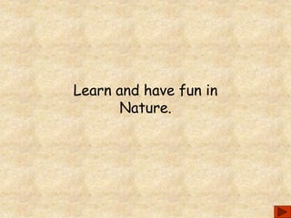 Learn and have fun in
Nature.
 