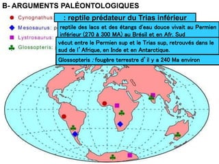 B- ARGUMENTS PALÉONTOLOGIQUES
: reptile prédateur du Trias inférieur
reptile des lacs et des étangs d'eau douce vivait au Permien
inférieur (270 à 300 MA) au Brésil et en Afr. Sud
vécut entre le Permien sup et le Trias sup, retrouvés dans le
sud de l’Afrique, en Inde et en Antarctique.
Glossopteris : fougère terrestre d’il y a 240 Ma environ
 