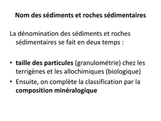 Nom des sédiments et roches sédimentaires
La dénomination des sédiments et roches
sédimentaires se fait en deux temps :
• taille des particules (granulométrie) chez les
terrigènes et les allochimiques (biologique)
• Ensuite, on complète la classification par la
composition minéralogique
 