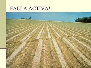 FALLA ACTIVA! 