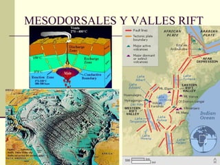 MESODORSALES Y VALLES RIFT 