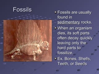 Geo evol parrish | PPT