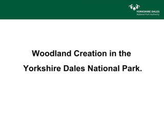 Woodland Creation in the
Yorkshire Dales National Park.
 