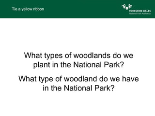 Tie a yellow ribbon




       What types of woodlands do we
        plant in the National Park?
   What type of woodland do we have
          in the National Park?
 