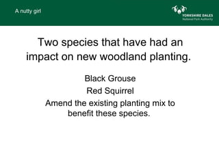 A nutty girl




       Two species that have had an
     impact on new woodland planting.
                        Black Grouse
                        Red Squirrel
               Amend the existing planting mix to
                   benefit these species.
 