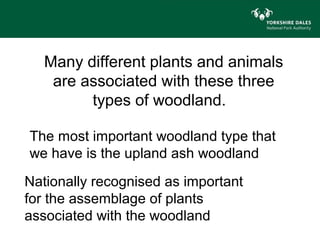 Many different plants and animals
    are associated with these three
         types of woodland.

The most important woodland type that
we have is the upland ash woodland
Nationally recognised as important
for the assemblage of plants
associated with the woodland
 