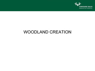 WOODLAND CREATION
 