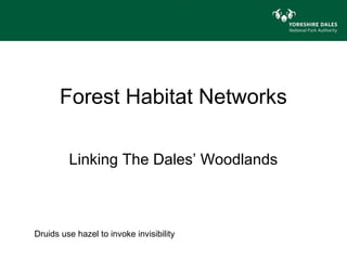 Forest Habitat Networks

         Linking The Dales’ Woodlands



Druids use hazel to invoke invisibility
 