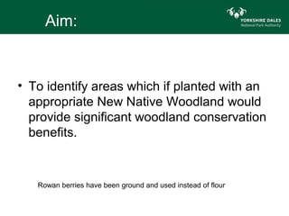Aim:


• To identify areas which if planted with an
  appropriate New Native Woodland would
  provide significant woodland conservation
  benefits.


   Rowan berries have been ground and used instead of flour
 