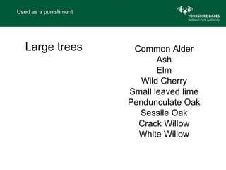 Used as a punishment




  Large trees           Common Alder
                              Ash
                              Elm
                          Wild Cherry
                       Small leaved lime
                       Pendunculate Oak
                         Sessile Oak
                         Crack Willow
                         White Willow
 
