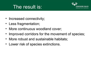 The result is:

•   Increased connectivity;
•   Less fragmentation;
•   More continuous woodland cover;
•   Improved corridors for the movement of species;
•   More robust and sustainable habitats;
•   Lower risk of species extinctions.
 