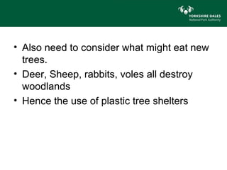 • Also need to consider what might eat new
  trees.
• Deer, Sheep, rabbits, voles all destroy
  woodlands
• Hence the use of plastic tree shelters
 