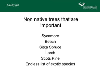 A nutty girl




               Non native trees that are
                      important

                        Sycamore
                           Beech
                      Sitka Spruce
                           Larch
                        Scots Pine
               Endless list of exotic species
 
