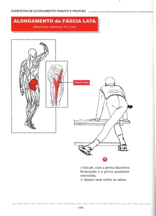 Geoffroy - Alongamento para todos