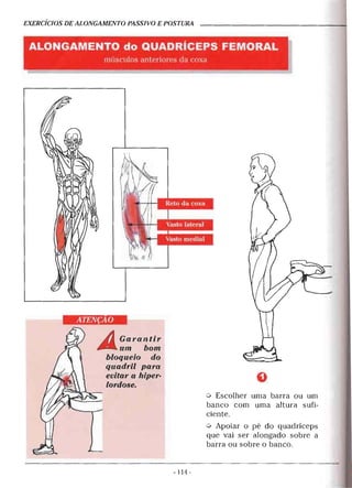 Geoffroy - Alongamento para todos