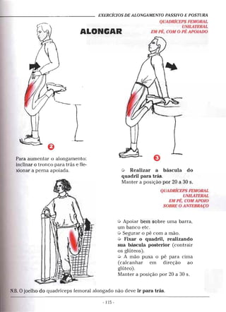 Geoffroy - Alongamento para todos