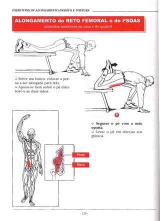 Geoffroy - Alongamento para todos