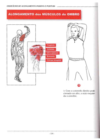 Geoffroy - Alongamento para todos